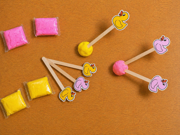 Duck Stick Match